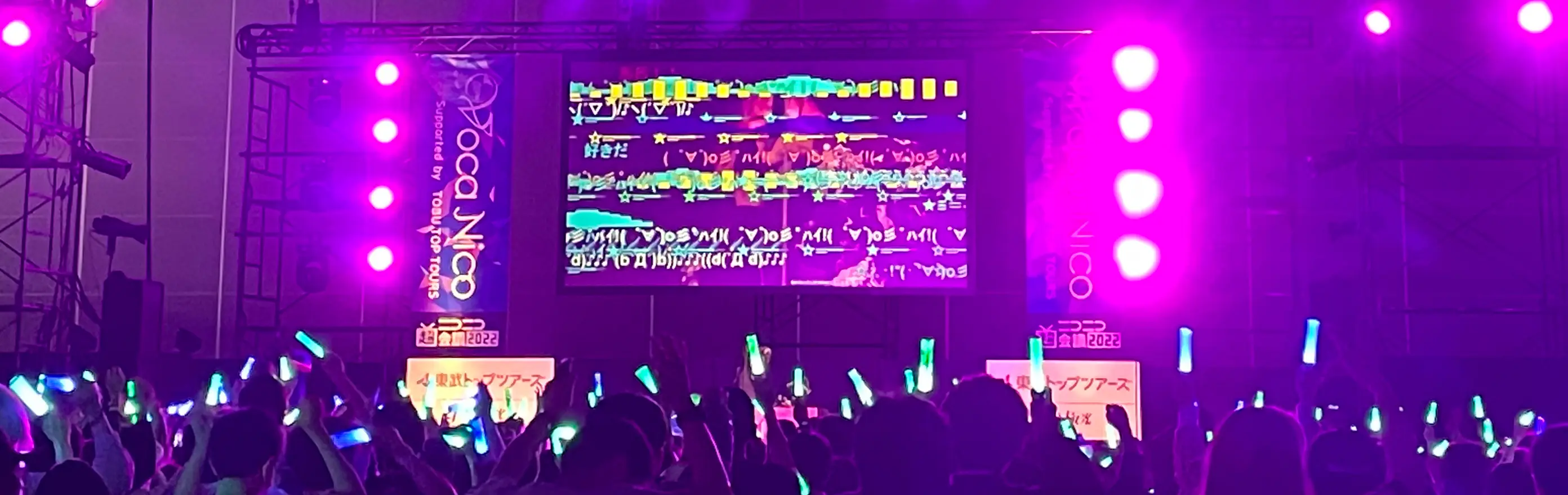 ニコニコ超会議のライブで盛り上がっている様子
